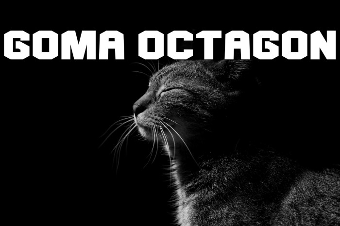 Goma Octagon Example 1