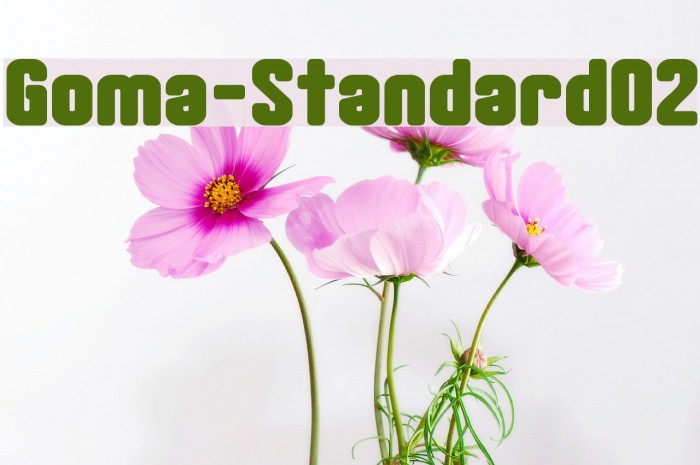 Goma-Standard02 Font examples