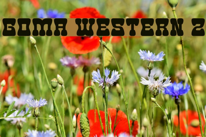Goma Western 2 Font examples