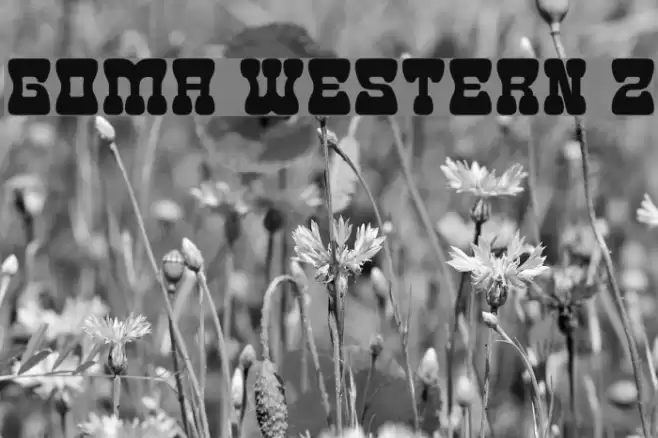 Goma Western 2 Font examples