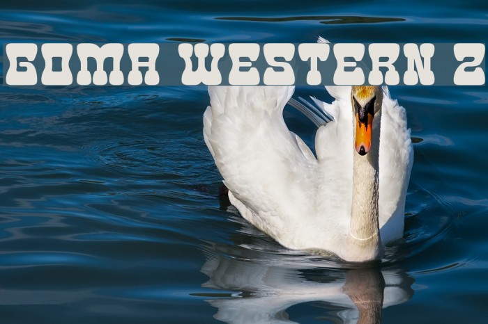 Goma Western 2 Font examples