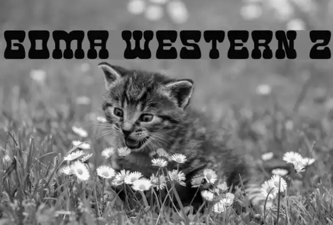 Goma Western 2 Font examples