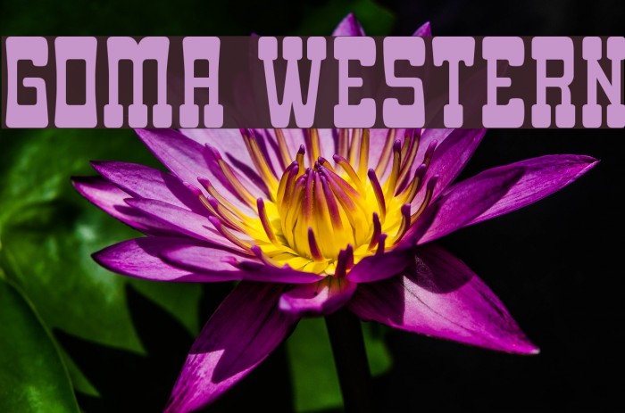 Goma Western Font examples