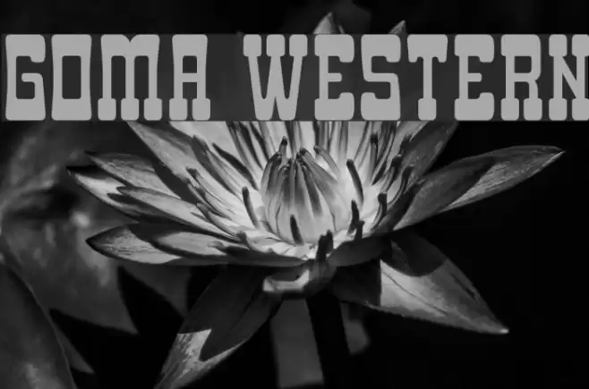 Goma Western フォント examples