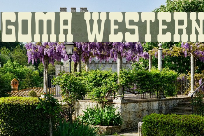 Goma Western Font examples