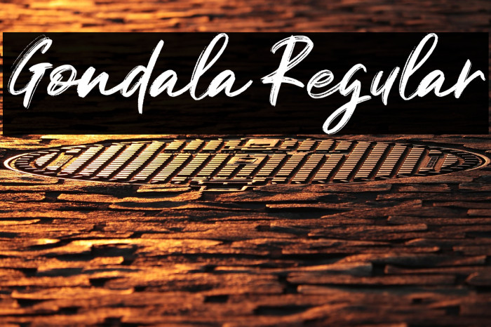 Gondala Regular Example 2