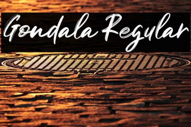 Gondala Regular Example 2