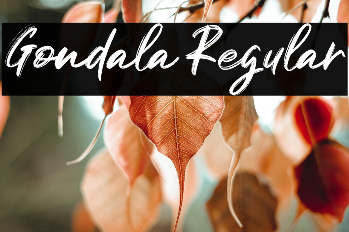 Gondala Regular Example 3