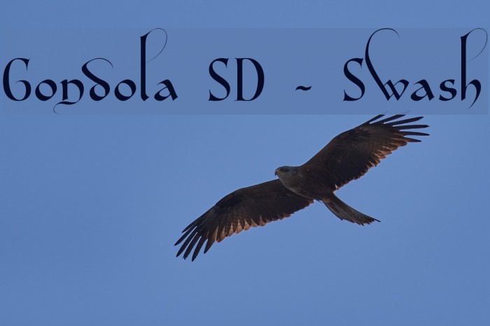Gondola SD - Swash Font examples
