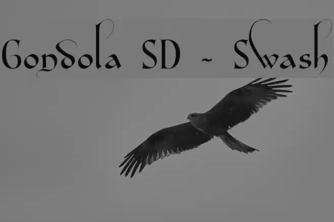 Gondola SD - Swash フォント examples