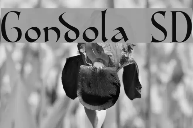 Gondola SD フォント examples