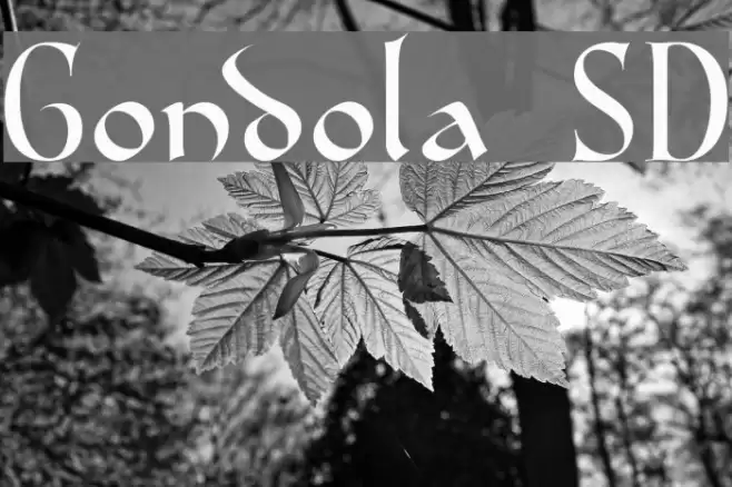 Gondola SD フォント examples