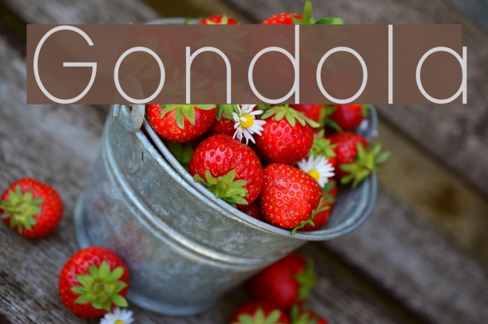 Gondola Font examples