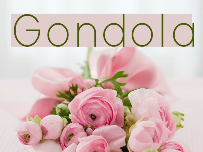 Gondola Font examples