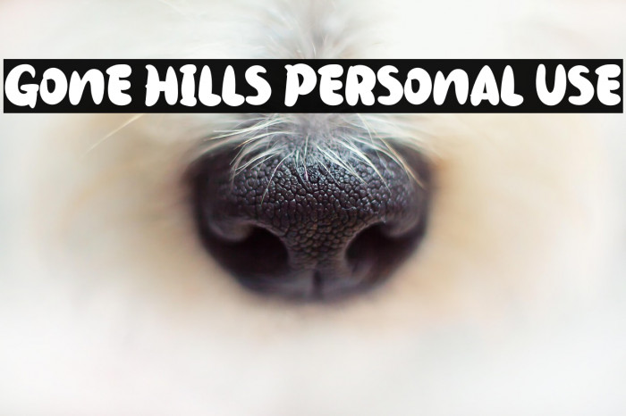 Gone Hills Personal Use Example 3