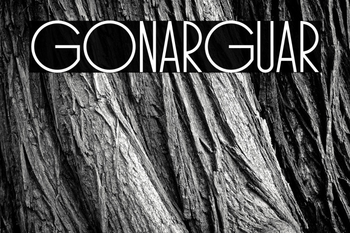 Gonela Regular Example 1