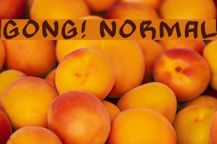 Gong! Normal Font examples