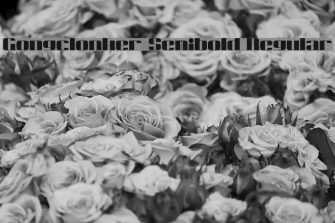 Gongclonker Semibold Regular Fuentes examples