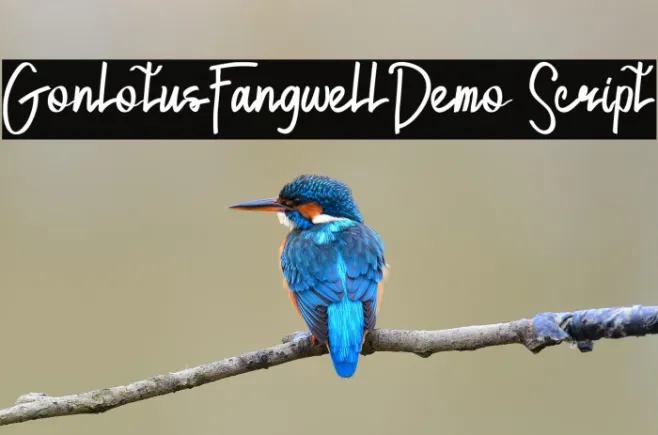 GonlotusFangwellDemo Script Example 1