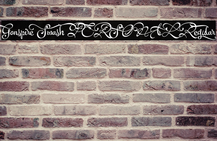 Gonspire Swash PERSONAL Regular Example 1