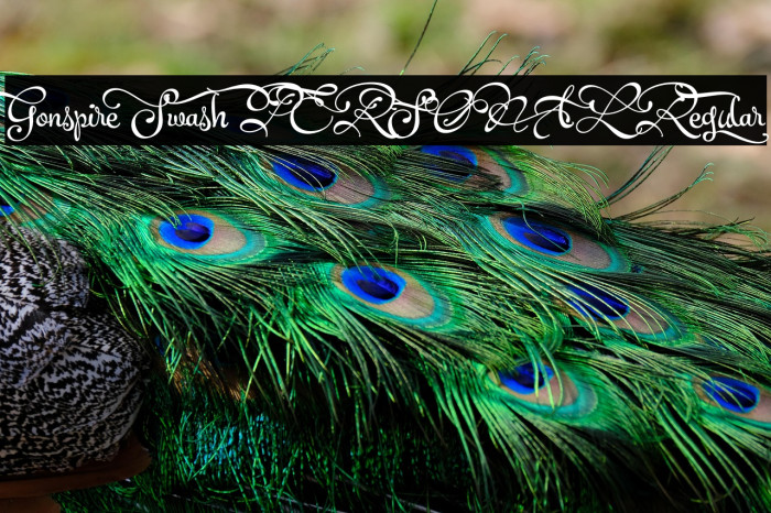 Gonspire Swash PERSONAL Regular Example 2