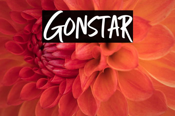 Gonstar Example 1
