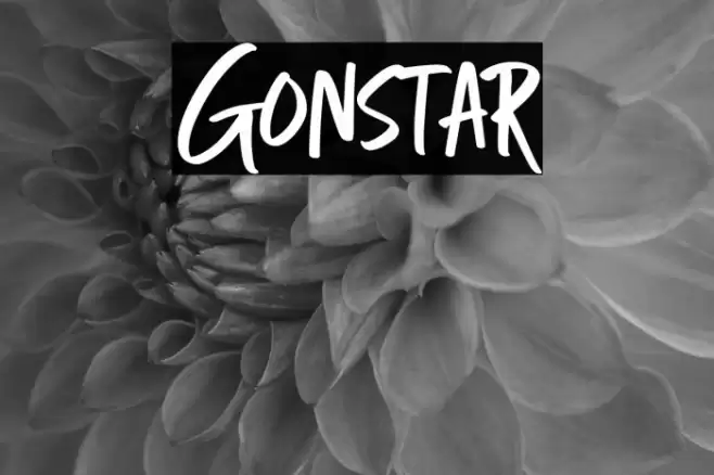 Gonstar フォント examples