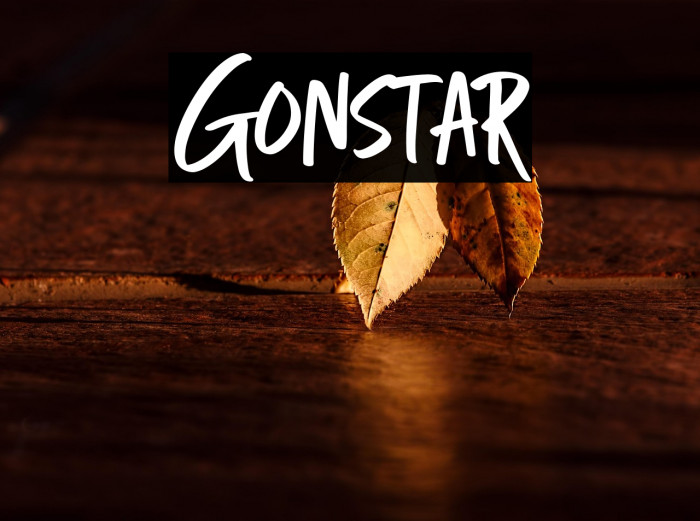 Gonstar Example 2