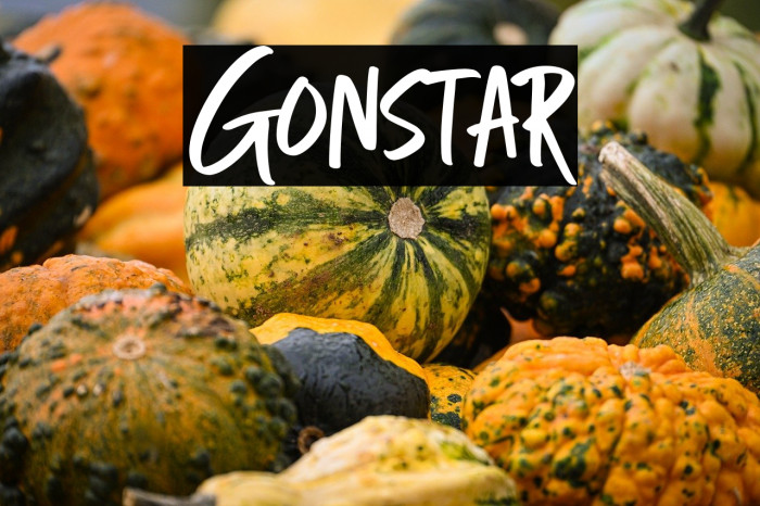 Gonstar Example 3