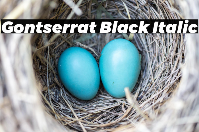 Gontserrat Black Italic Example 2