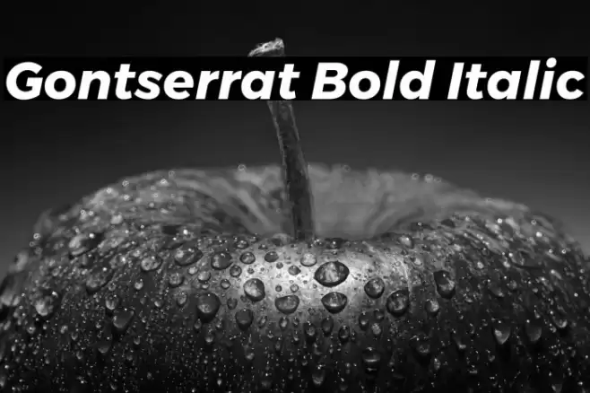 Gontserrat Bold Italic Font examples