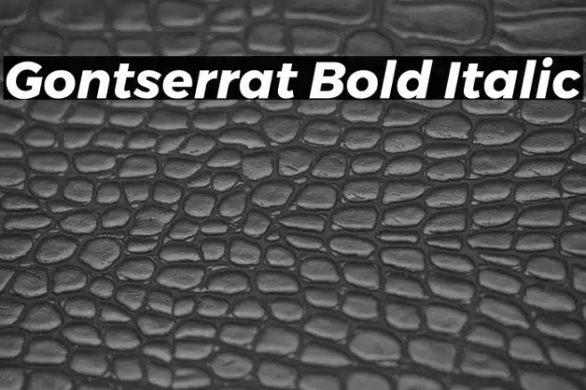 Gontserrat Bold Italic Font examples