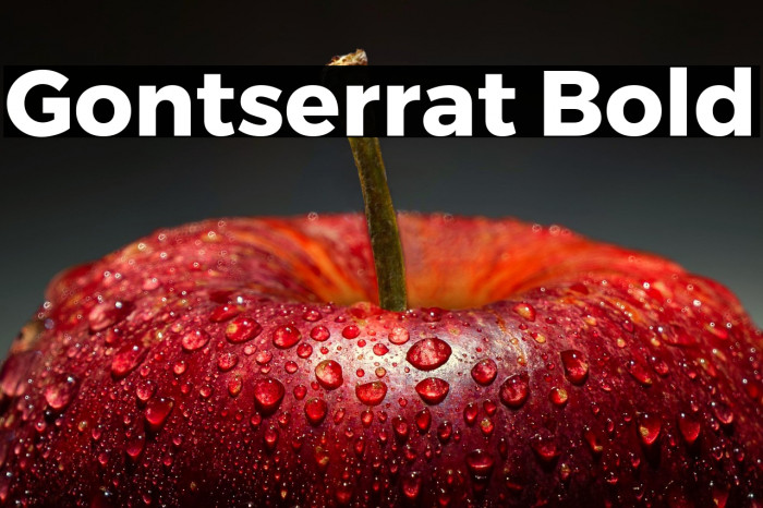 Gontserrat Bold Example 1