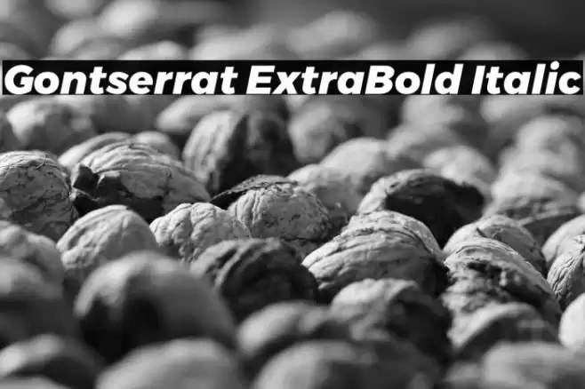 Gontserrat ExtraBold Italic Font examples