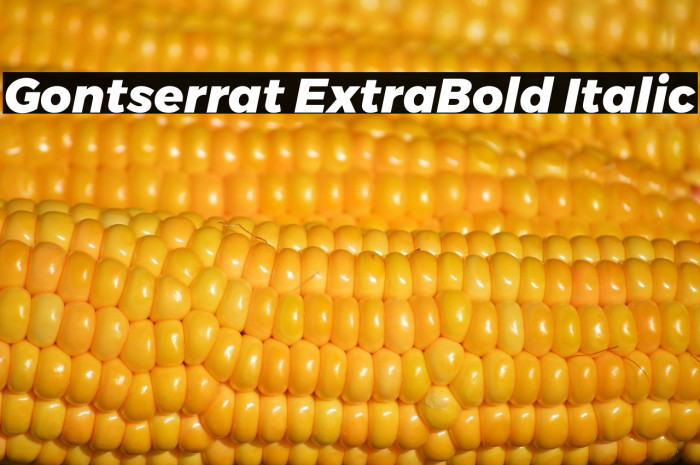Gontserrat ExtraBold Italic Example 3