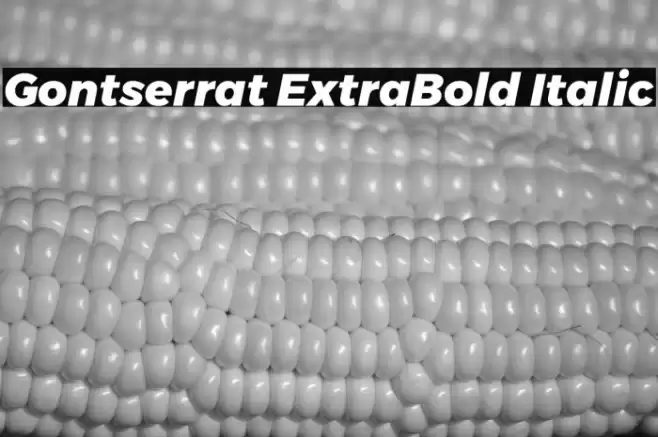 Gontserrat ExtraBold Italic Font examples