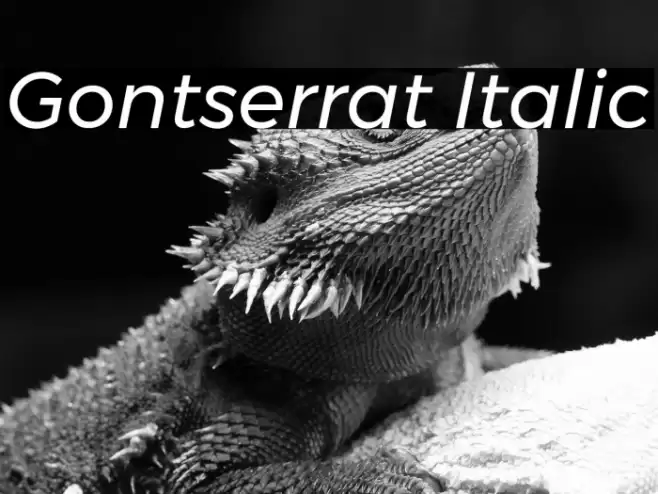 Gontserrat Italic Font examples