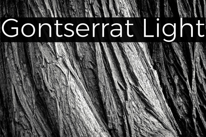 Gontserrat Light Example 1