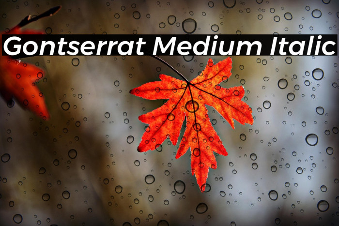 Gontserrat Medium Italic Example 1
