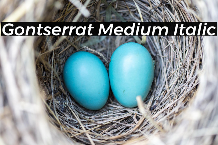 Gontserrat Medium Italic Example 3