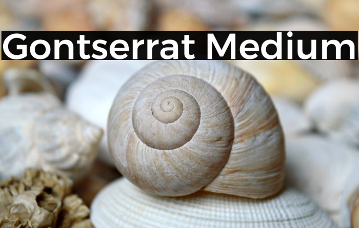 Gontserrat Medium Example 1