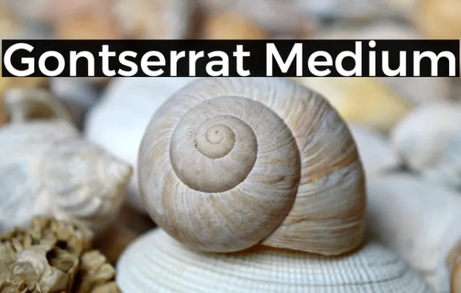 Gontserrat Medium Example 1