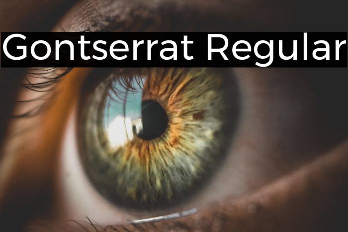 Gontserrat Regular Example 2