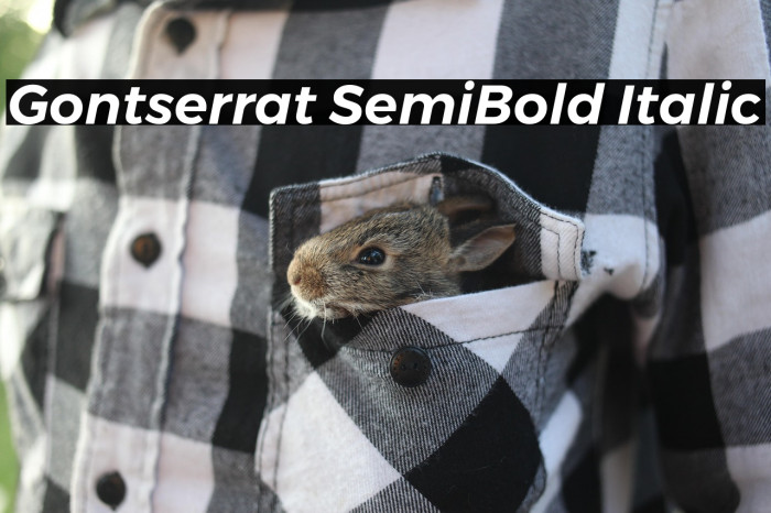 Gontserrat SemiBold Italic Example 3
