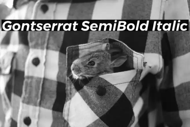 Gontserrat SemiBold Italic Font examples