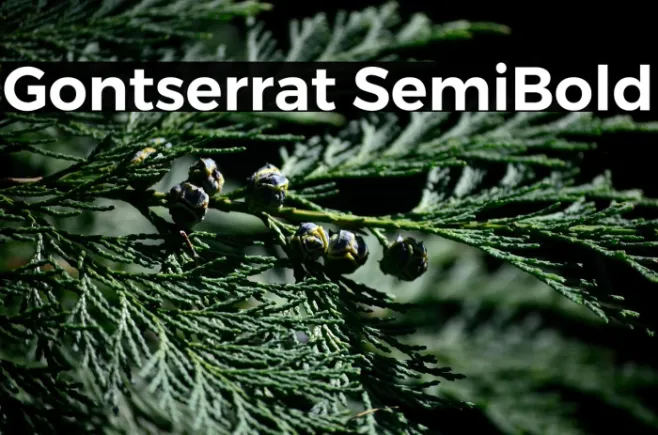 Gontserrat SemiBold Example 2