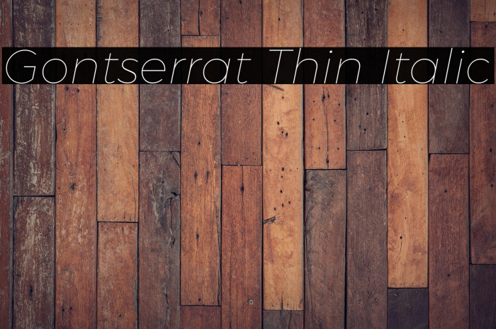 Gontserrat Thin Italic Example 1
