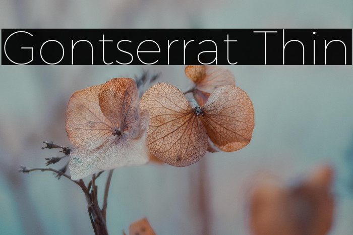Gontserrat Thin Example 1