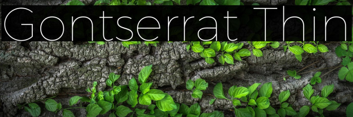 Gontserrat Thin Example 2