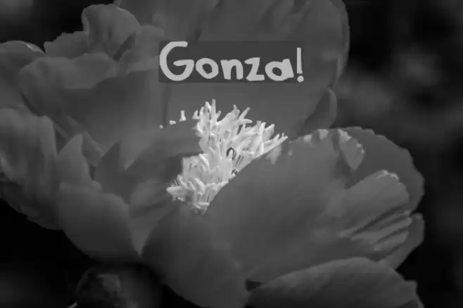 Gonza! Font examples